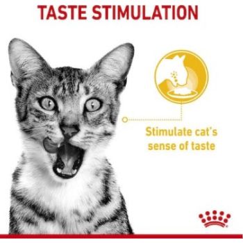  Royal Canin Sensory Taste Gravy (WET FOOD - POUCHES) 12 x 85g 