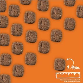  Arden Grange Daily All Breeds Senior with Fresh Chicken & Rice Dry Dog Food 6kg 