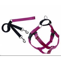 Freedom No-Pull Harness and Leash -  Raspberry / Medium 1"