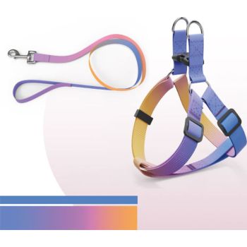  Helepet Flat Pet Leash Harness-Plastic Buckle Blue Rainbow Small: 10mm*250-300mm 