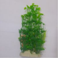 Sea Star Aquarium Plant PLT659M