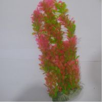 Sea Star Aquarium Plant PLT1203M