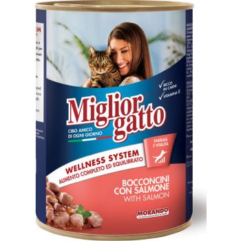  Miglior gatto Chunks With Salmon Cat Wet Food, 405g 