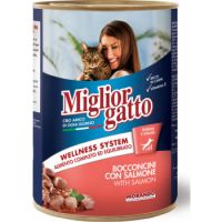 Miglior gatto Chunks With Salmon Cat Wet Food, 405g