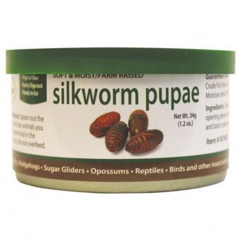  Silkworms Pupae 
