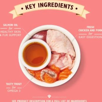  Lily's Kitchen Chicken Pate Kitten Wet Food 85G 