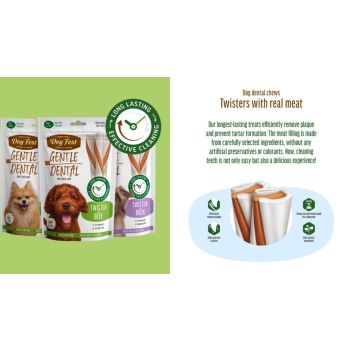  Dog Fest Dental Treats For Adult Dogs -Twister-Beef 100g (14cm) 