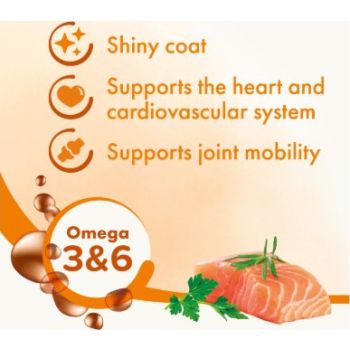  Beaphar Salmon Oil Dog & Cat  Supplement 425ml 