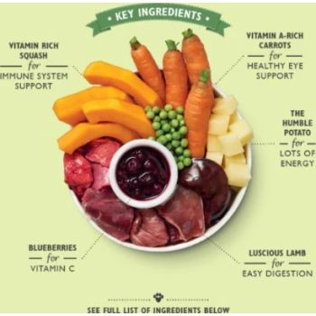  Lily's Kitchen Lamb Hotpot Wet Dog Food - 400G 