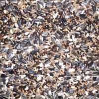 Finch Budget Mix 5kg