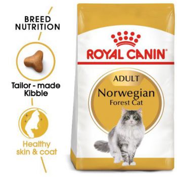  Royal Canin Norwegian Forest Cat Dry Food  2 KG 
