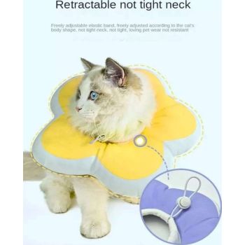  Saas Cat Soft Elizabeth Collars Large 