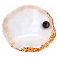 PAWISE HAPPY- GO- AROUND  60CM:28513