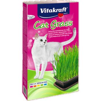  VITAKRAFT CAT GRASS 120 G 