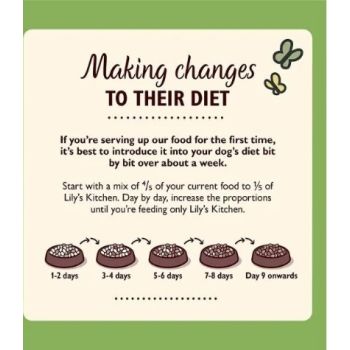  Lily's Kitchen Chicken & Turkey Casserole Wet Dog Food 400G 