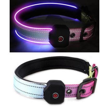  LED Collars (Red & Blue Gradient) (M) 