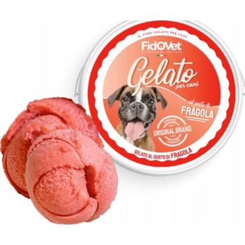  FidoVet Gelato Ice Cream for Dogs (Strawberry) (Powder) 