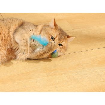  M-PETS Charmy Firefly Blue Catnip Cat Toy 