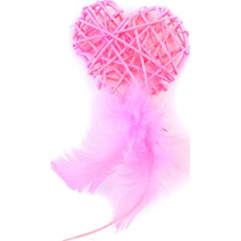  Free Cat Pink Heart with Feathers Interactive Cat Toys 