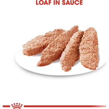  Royal Canin  Light Weight Care Wet Food Box of 12x85g 