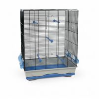 AMBRA Bird Cage BLUE & BLACK