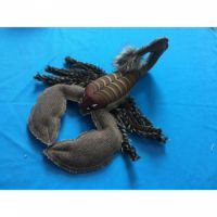 Nutrapet SCORPION Dog Toys