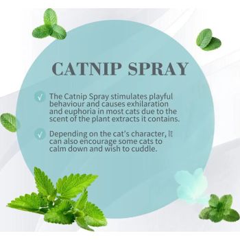  BIOLINE CATNIP SPRAY 15 ML 