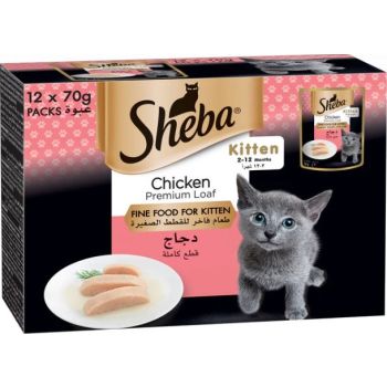  Sheba Fine Wet Cat Food Pouch Kitten Chicken Premium Loaf 12X70G 
