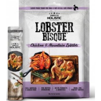  Absolute Holistic Bisqe - Chicken & Lobster 60g 