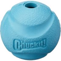 CHUCKIT! FETCH BALL 1-PACK MEDIUM
