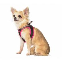 Arlequin Mini Harness - Brown / XS