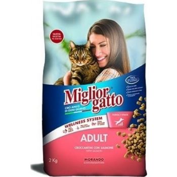  Miglior Croquettes with Salmon Cat Dry Food, 2Kg 