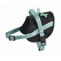 Easy Safe Harness - Lagon / XXS