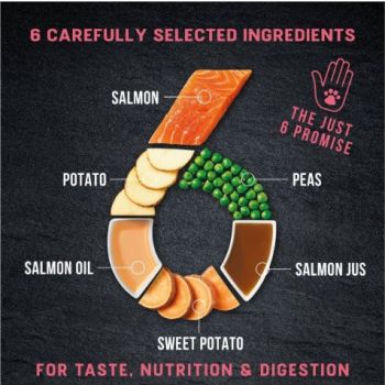  Harringtons Just 6 Salmon Grain Free Adult Dry Dog Food 2kg 