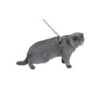 Kilt Cat Harness & Lead - Beige / XS