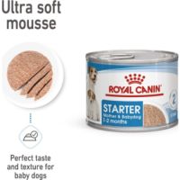 Royal Canin Starter Dog Wet Food 195GX12