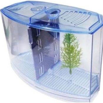  Betta House Double 19*9*14 Cm 1891 