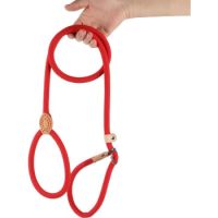 Cozy Paws Slip Leash-Large 1.6CM X1.8M RED