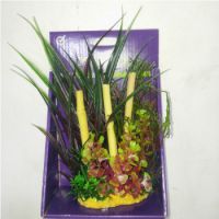 YUSEE PLASTIC AQUARIUM PLANT YS-60504