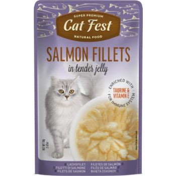  Cat Fest Salmon Fillets In Tender Jelly For Cats 70g 