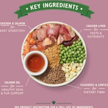  Lily's Kitchen Puppy Recipe with Chicken, Salmon & Peas Dry Food - 1KG 