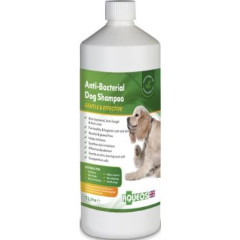  Anti Bacterial Dog Shampoo Multicolour 1Liters 