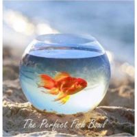 Camry Glass Bowl 6inch