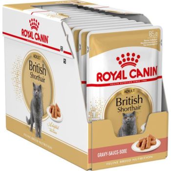  Royal Canin Cat WET FOOD - FELINE BREED NUTRITION BRITISH SHORTHAIR 12X85G 