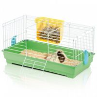 GABBIA CAVIA 2 GREEN