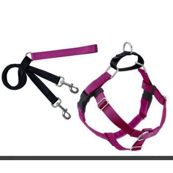  Freedom No-Pull Harness and Leash - Raspberry / Small 5/8" 