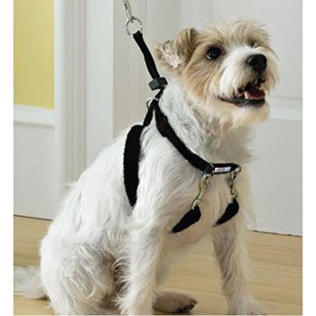  PAWISE DOG TRAINING HARNESS L (1&quot;X23-33&quot;):13524 