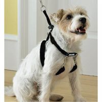 PAWISE DOG TRAINING HARNESS L (1"X23-33"):13524