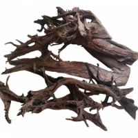 KW ZONE AQUARIUM DRIFT WOOD XXL MANGROVE ROOT