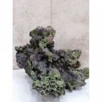 AQUARIUM DECORATION CO006